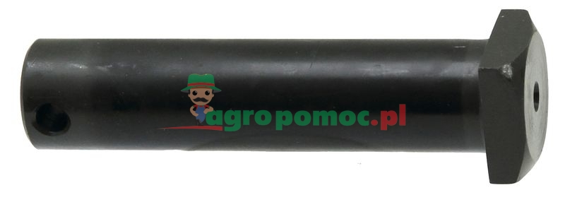 Sworzeń | 5130456 | zdjęcie nr 1