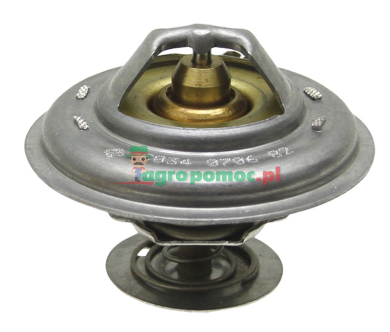 Termostat | 4224624M1 | zdjęcie nr 1
