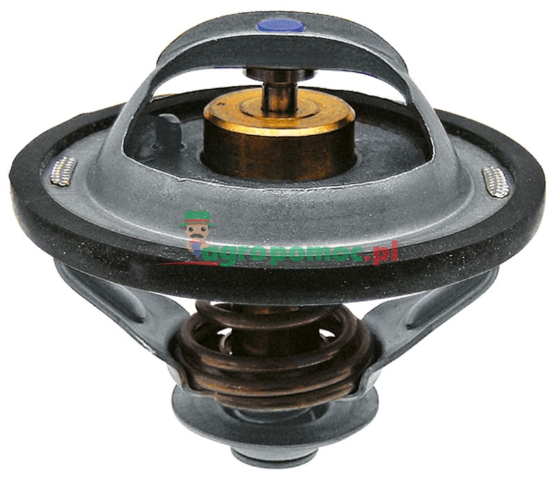 Termostat | 2856543, 87803070 | zdjęcie nr 1