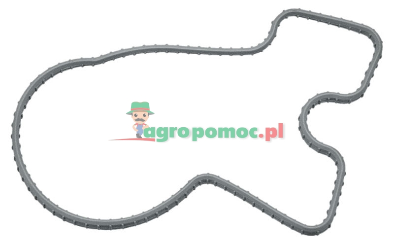 Uszczelka | R501227 | zdjęcie nr 1