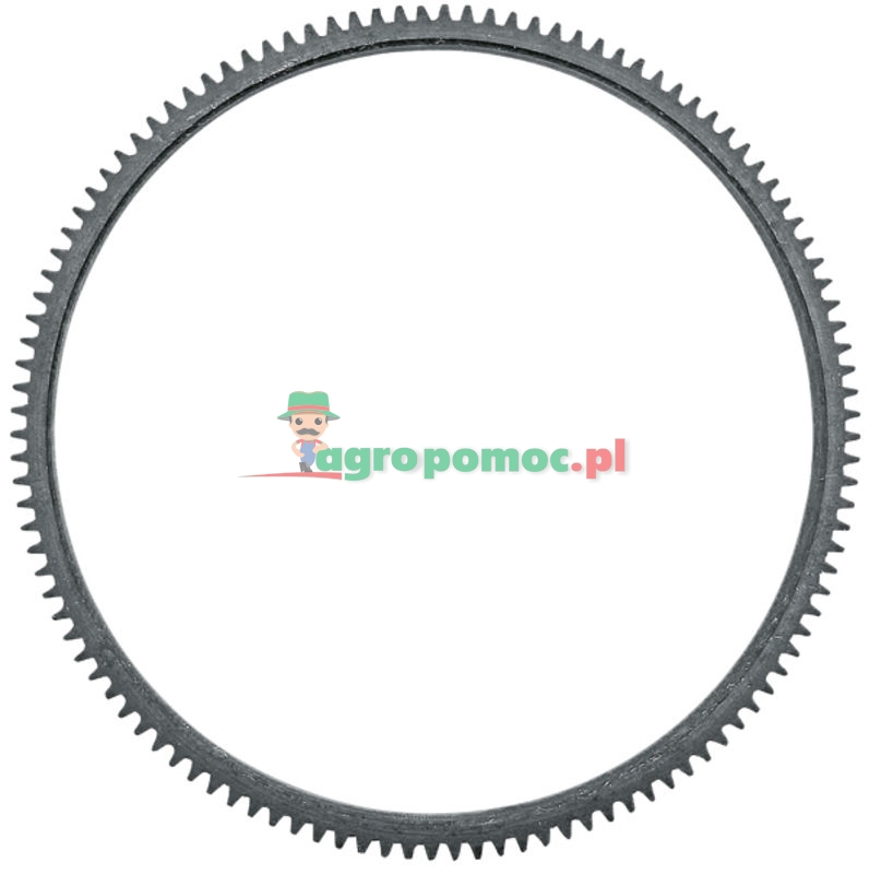 Wieniec zębaty koła zamachowego | F180200310080 | zdjęcie nr 1