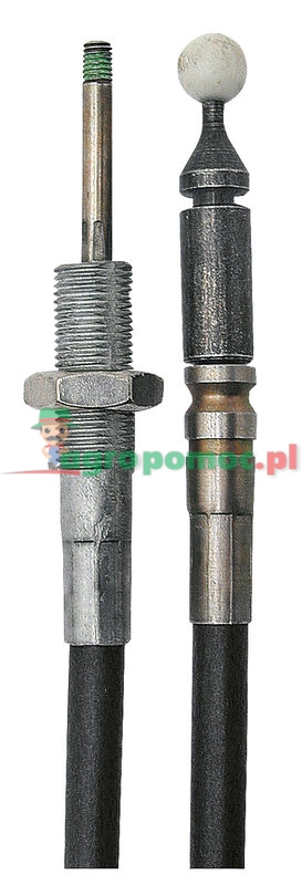 Cięgno | zdjęcie nr 1