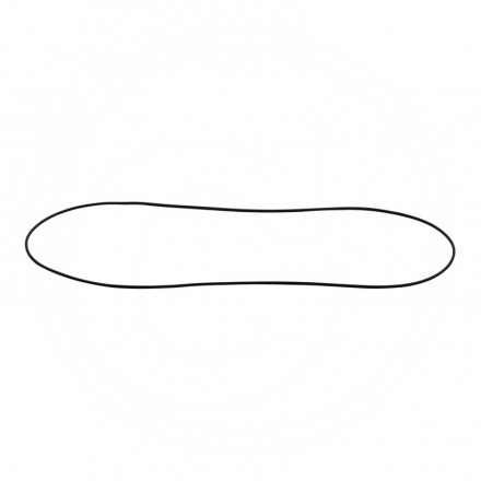 Pierścień uszczelniający pochwy Oring | 1860838M1