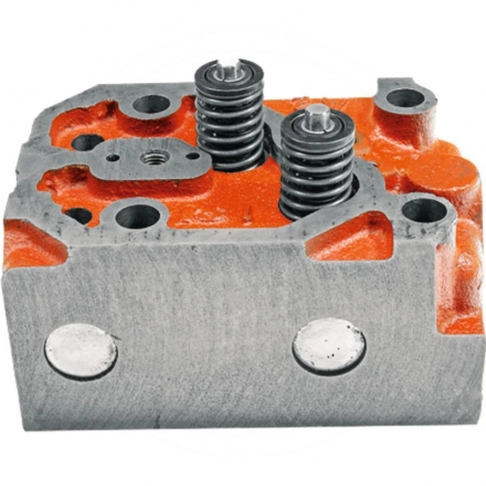 Głowica silnika z zaworami komplet | 71010501/55010501