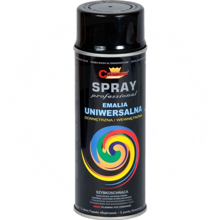 Farba RAL 9005 czarny połysk