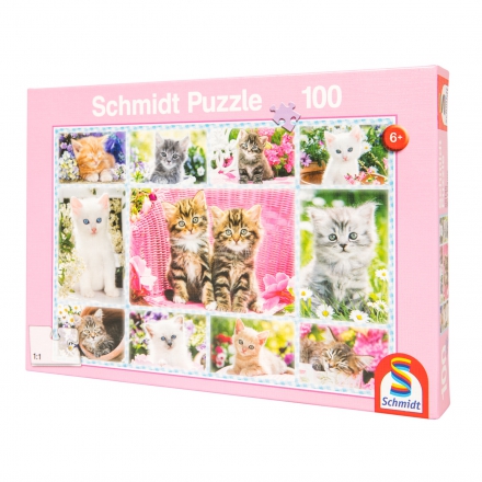 Schmidt Puzzle, Kociaki, 100 elementów