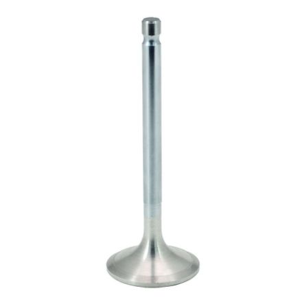 Bizon Zawór ssący do silnika SW 680 | PL 612817