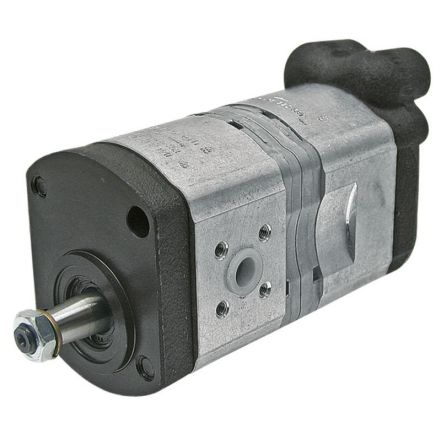 Bosch/Rexroth Pompa zębata, podwójna | 3145619R92, 3142563R91