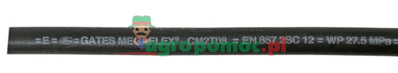 Gates 2 SC DN 10 - 3/8" EN 857 | CM2T06