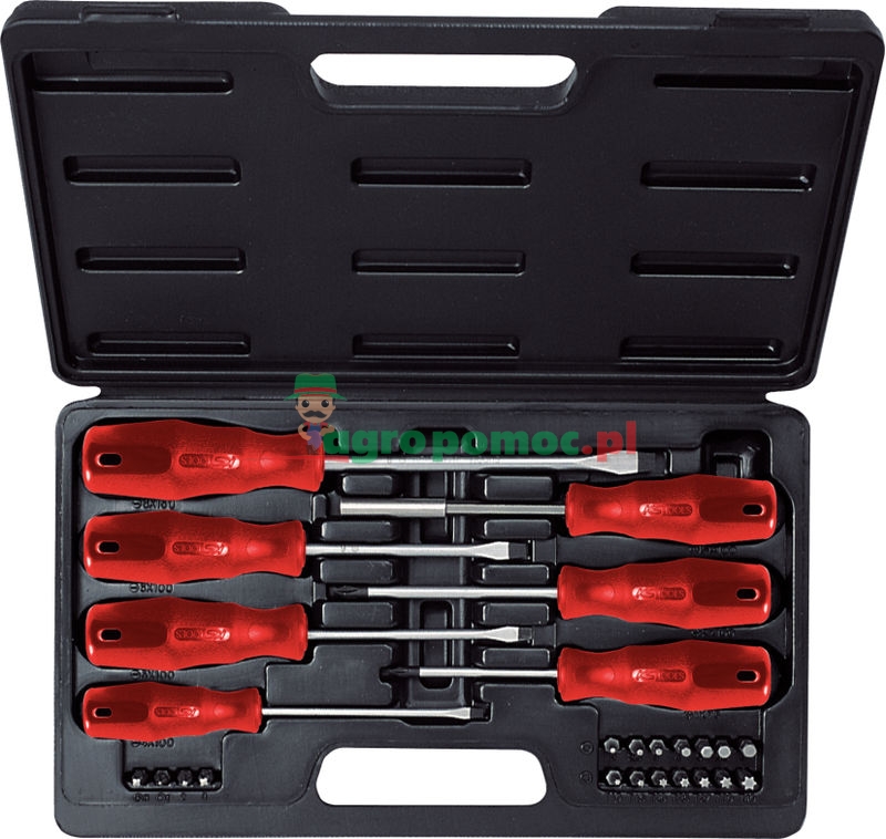 KS Tools ERGOTORQUE®basic Schraubendreher- und Bit-Satz, 25-tlg.