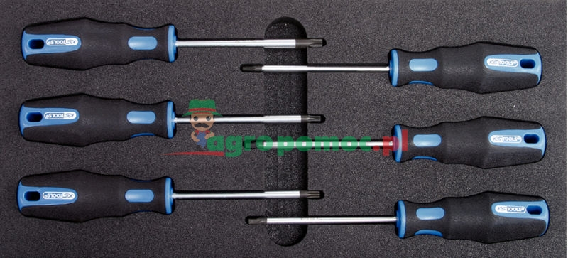 KS Tools ERGOTORQUEplus