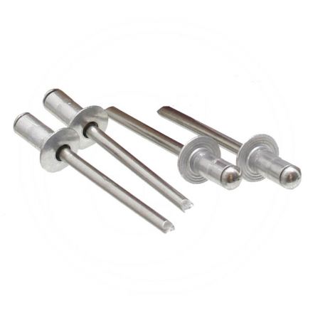  Opak. 500 Nity zrywalne z łbem płaskim 4,8x24,8