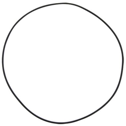 Oring CAR028498, 137700410805 | 89570815, CAR028498, 137700410805