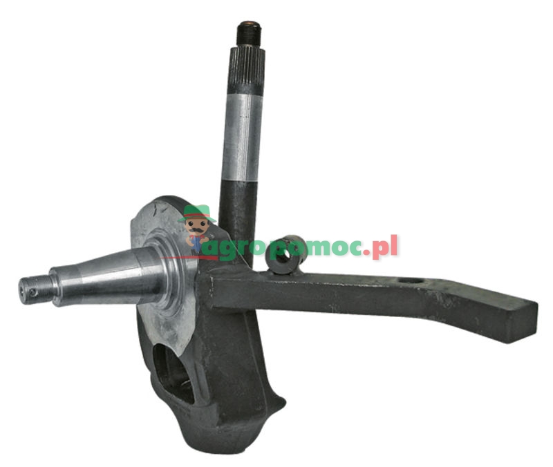 Oś zwrotnicy | H165300072031