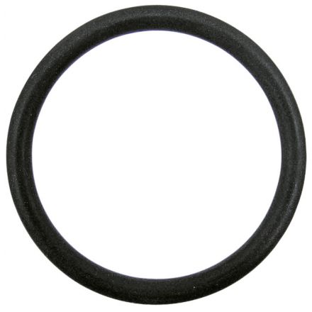 Pierścień uszczelniający | 195565M1