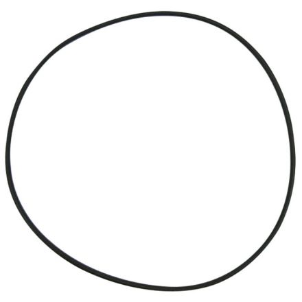 Pierścień uszczelniający | 394881X1