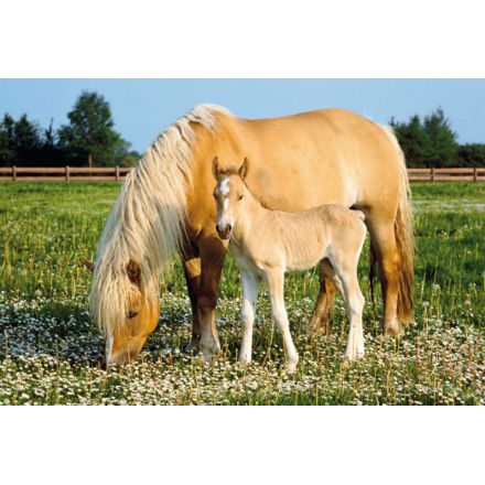 Schmidt Spiele Klacz ze źrebakiem