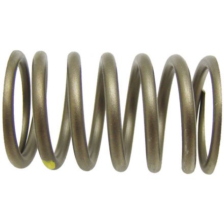 Sprężyna zaworu | K921435