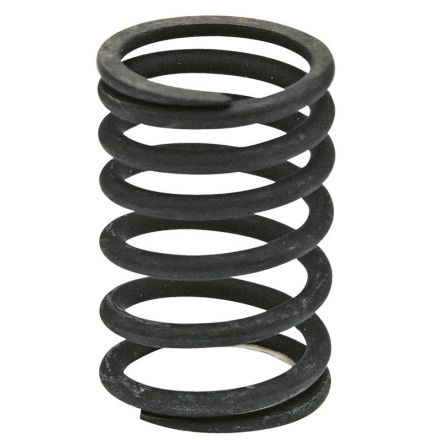 Sprężyna zaworu | 2.4019.287.0