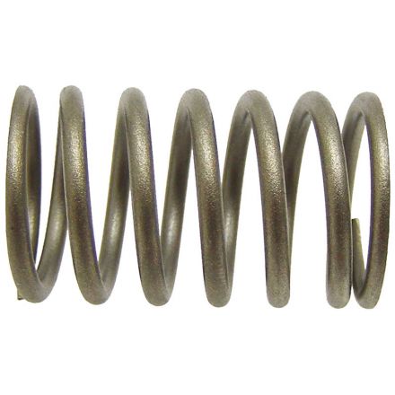 Sprężyna zaworu | 731153M1