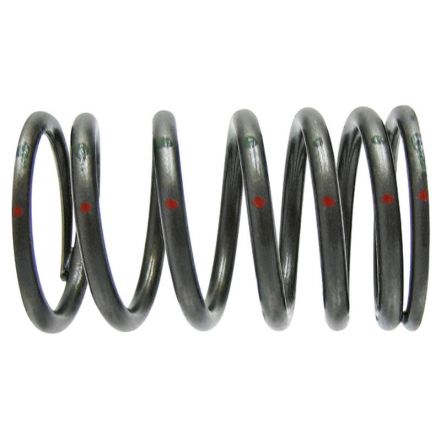 Sprężyna zaworu | 4030530720