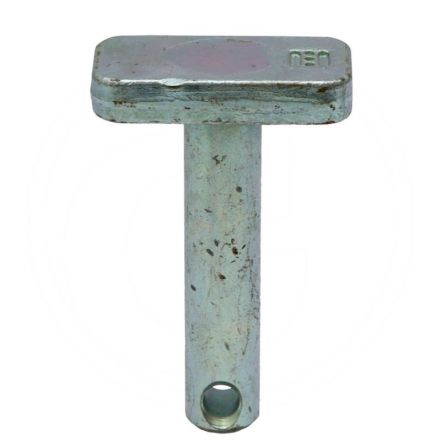 Sworzeń | 1965397C1