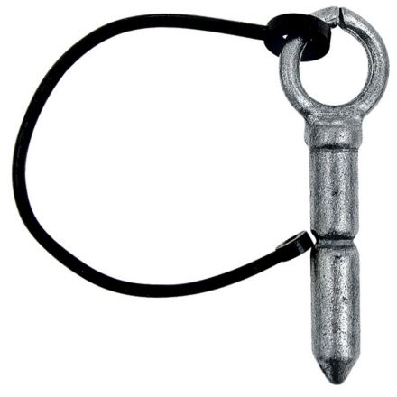 Trzpień ustalający