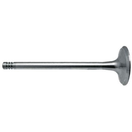 Zawór ssący | 04170491