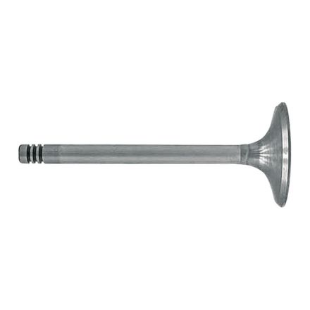 Zawór ssący | 6005009608