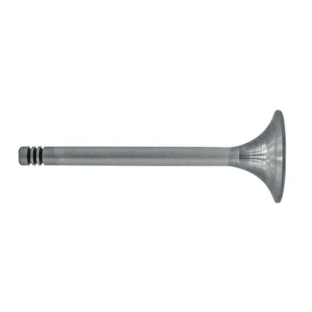 Zawór ssący | 6005003724