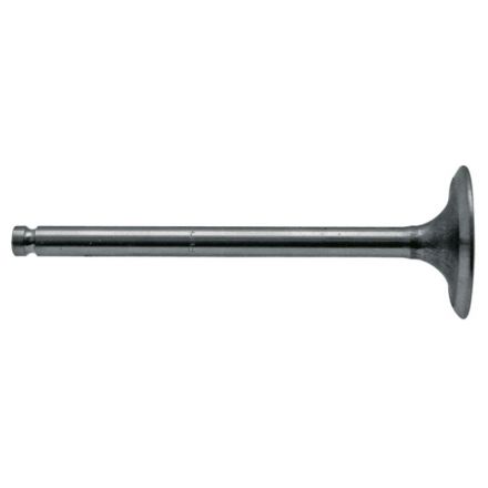 Zawór ssący | 739060M1, 31431681M1