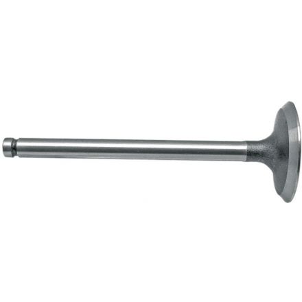 Zawór ssący | 738095M1