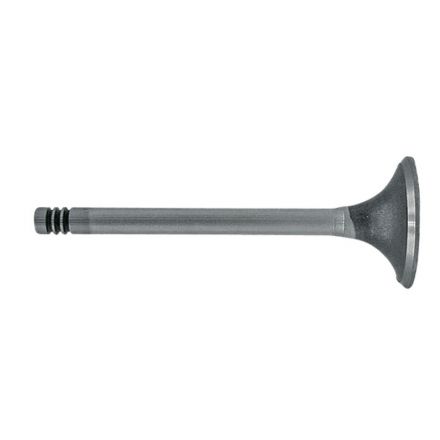 Zawór ssący | F183200210080