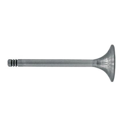 Zawór ssący | F384200210090