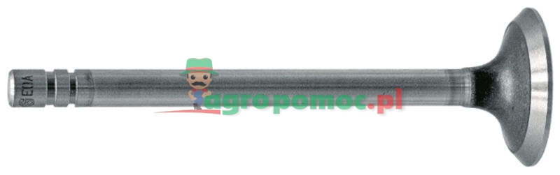 Zawór wydechowy | R79624, R52252